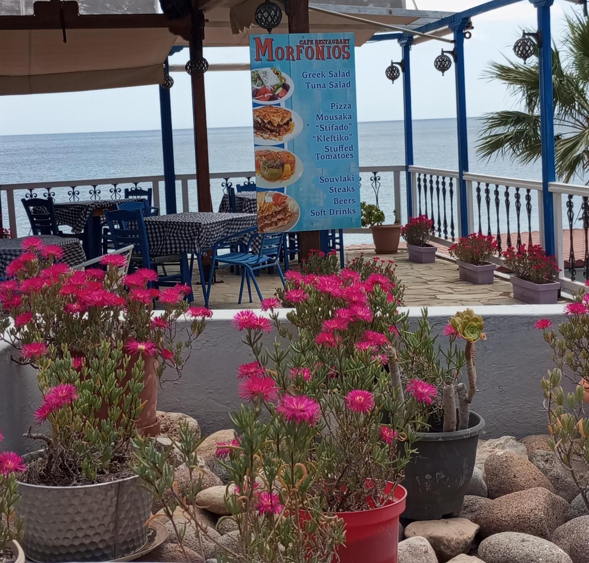 Svetlana & Michalis Oasis Hotel Agia Marina  Ngoại thất bức ảnh