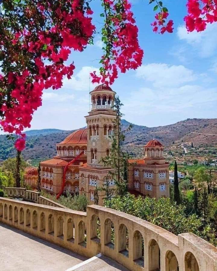 Svetlana & Michalis Oasis Hotel Agia Marina  Ngoại thất bức ảnh