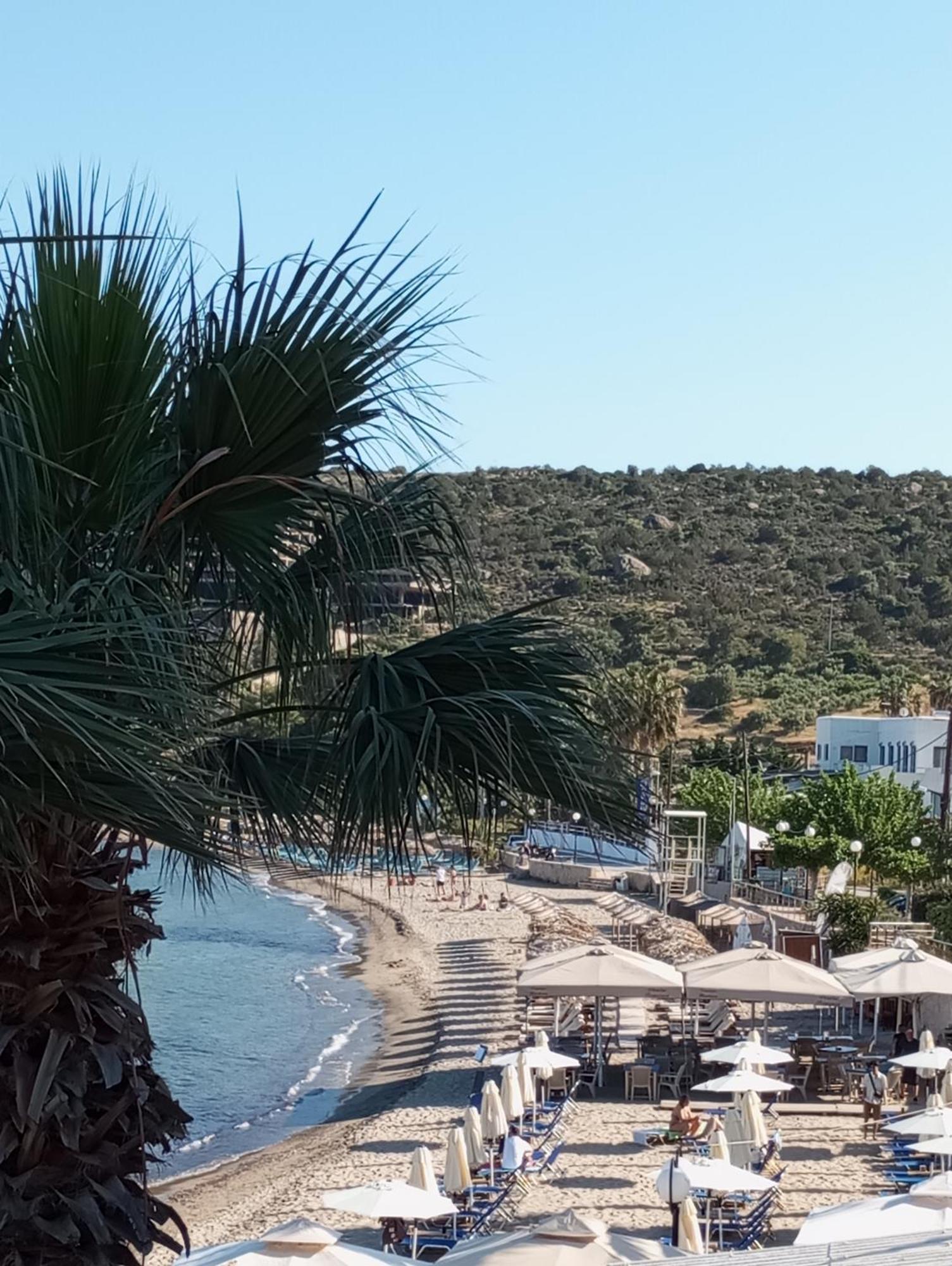 Svetlana & Michalis Oasis Hotel Agia Marina  Ngoại thất bức ảnh